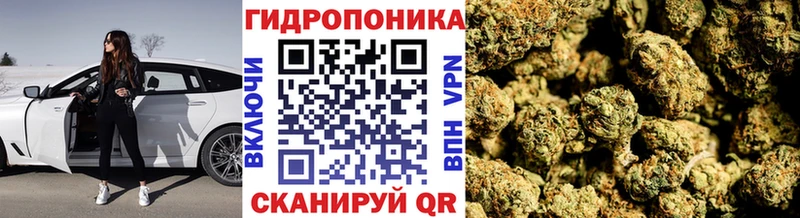 Как найти закладки Севастополь APVP  Псилоцибиновые грибы  Меф мяу мяу  Гашиш  COCAIN 