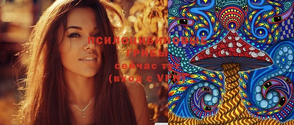 круглые Няндома