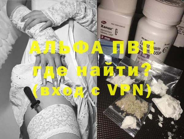 прущие грибы Апатиты
